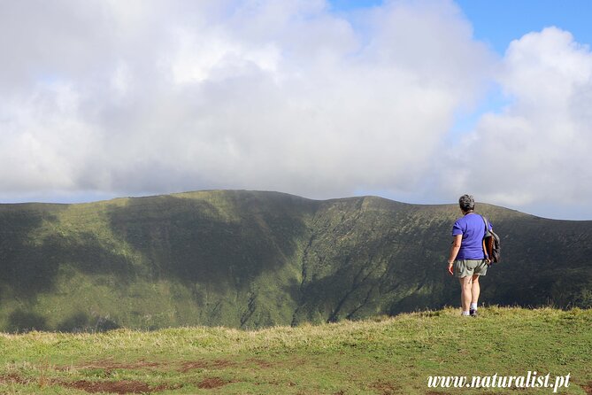 Half Day Faial Island Tour -Local Biologist - Whats Included in the Tour