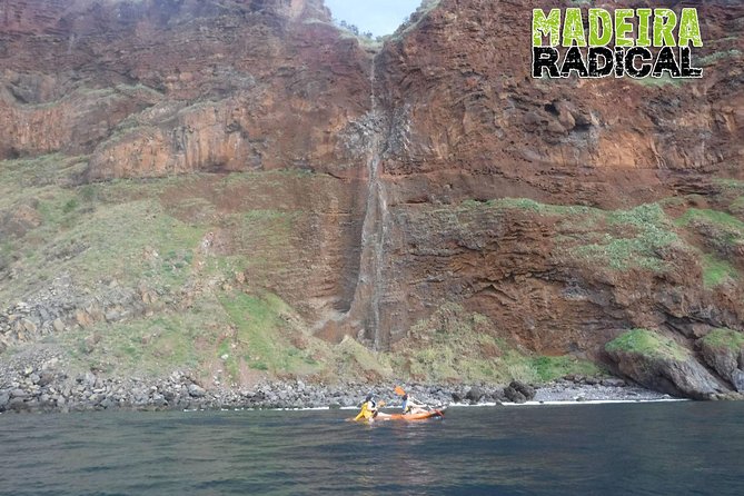 Half Day Kayak Tours - Highlights From Customer Reviews