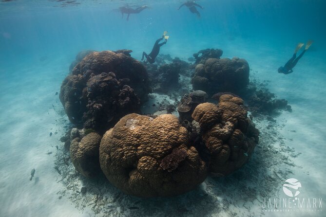 Half Day Snorkel 2.5hr Turtle Tour on the Ningaloo Reef, Exmouth - Meeting and Pickup Details