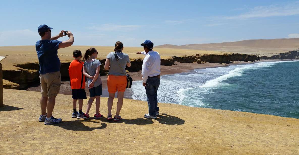 Half Day Tour: Ballestas Islands & Paracas Natural Reserve - Tour Features