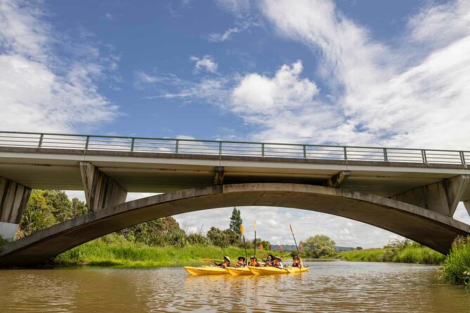 Hallertau Clevedon Kayak Tour - Whats Included in the Tour