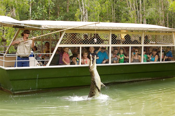 Hartleys Crocodile Adventure Half-Day Tour - Visitor Ratings and Feedback