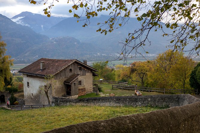 Heidiland and Liechtenstein Tour From Zurich - Inclusions and Logistics