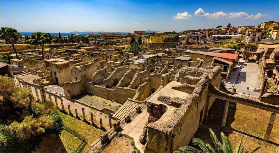 Herculaneum With an Archaelogical Guide & Ticket - Itinerary Highlights