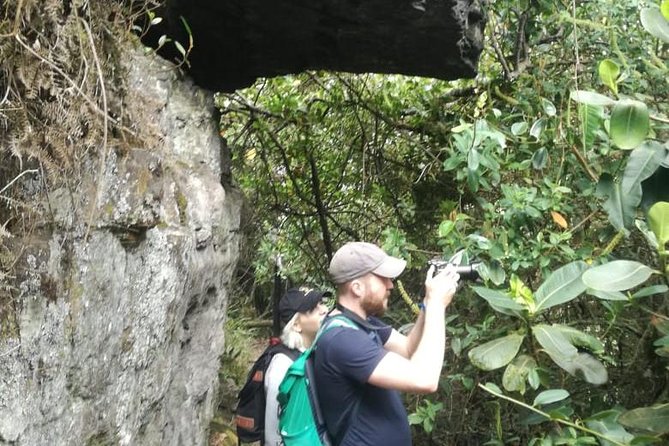 Hiking High Andean Forests - Inclusions and Amenities