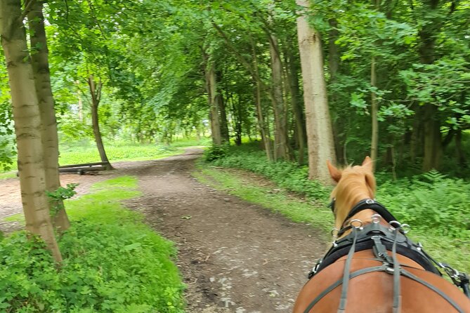 Horse Drawn Carriage Ride York - Booking Procedures