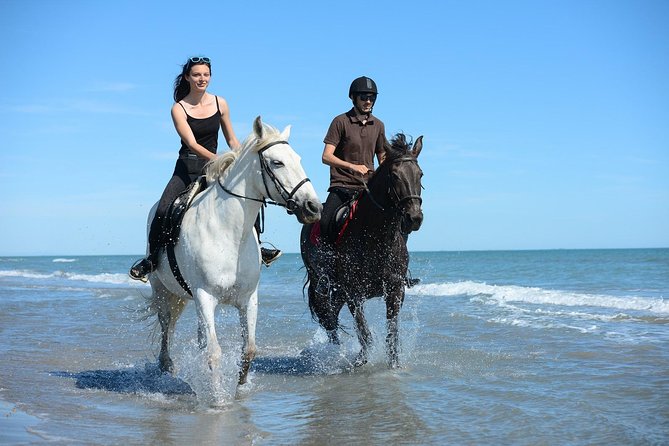 Horse Riding -Evening- in Paros - Family Business Approach