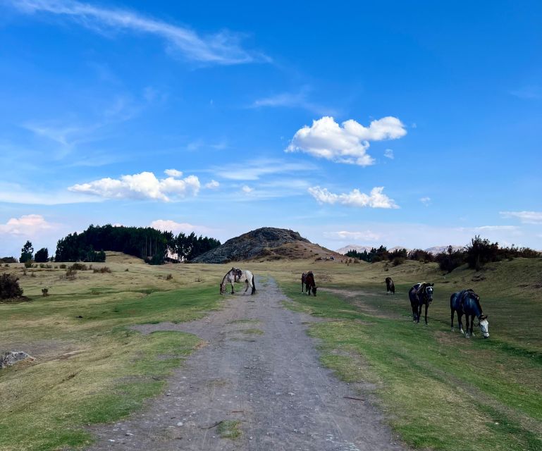 Horseback Riding Adventure in Cusco - Booking Process