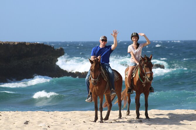 Horseback Riding and Natural Pool Adventure in Aruba - Customer Experiences and Feedback