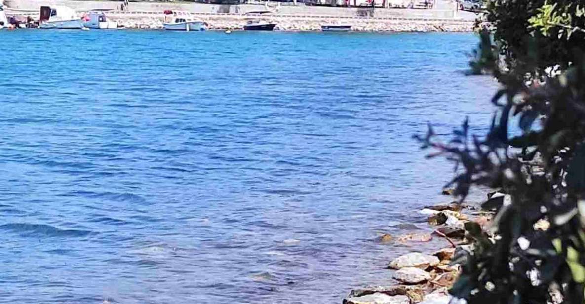 Iasos & Ancient Fish Market Tour - Unique Features of Iasos