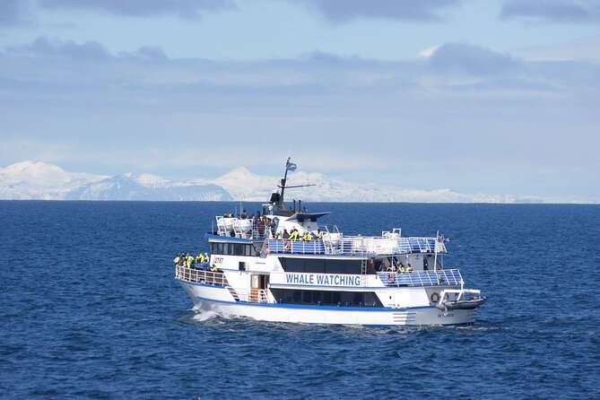 Icelandic Horse Riding and Whale Watching Tour From Reykjavik - Inclusions and Amenities