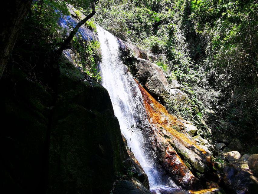 Ilha Grande: Private Hiking With Forest, Beaches & Waterfall - Unique Hiking Highlights