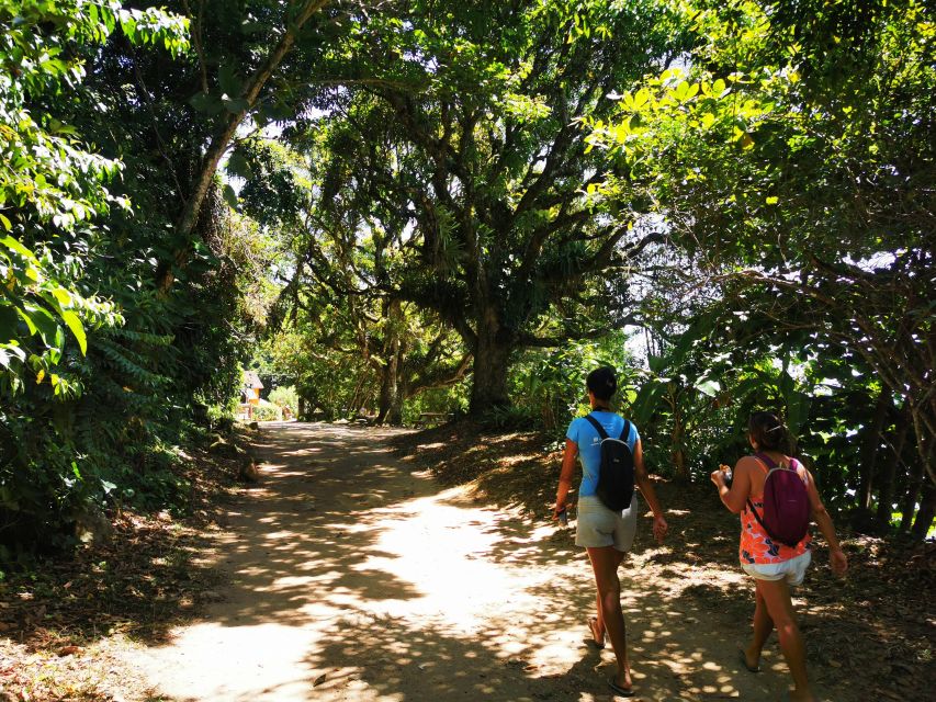 Ilha Grande: Private Historic Walking Tour With Natural Pool - Starting Point and Route