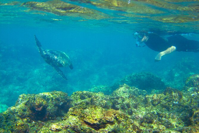 Imiloa Express Nā Pali Snorkel Tour - Snorkeling Experience