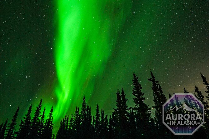 Incredible Aurora Viewing Adventure - Customer Reviews and Feedback