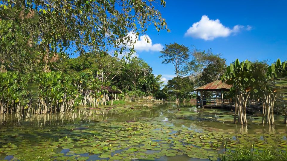 Iquitos: 6-Hour Wonderful Wildlife Guided Tour - Wildlife Experience