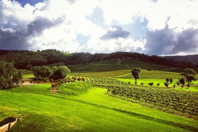 Ivanhoe Wines: Trip Advisor Premium Wine Tasting - Customer Experiences