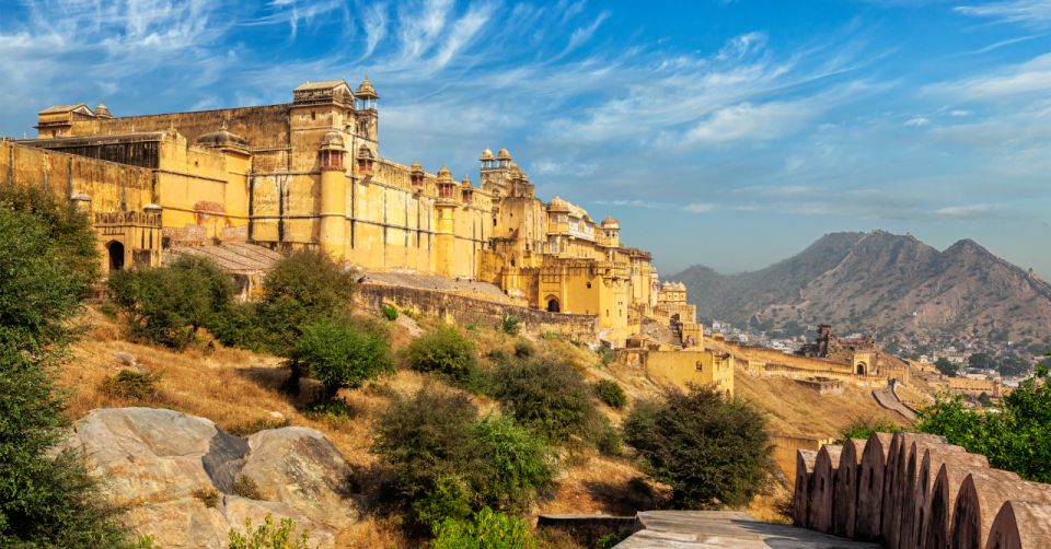 Jaipur: Private City Tour With Optional Buffet and Tickets - Inclusions of the Tour