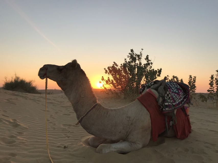 Jaisalmer : 2 Days Nomadic Off Beaten Camel & Desert Safari - Essential Packing List