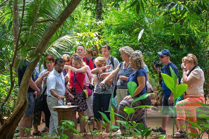 Kandy Day Trip With Tooth Relic Temple & Unique Attractions - Meeting and Pickup Details