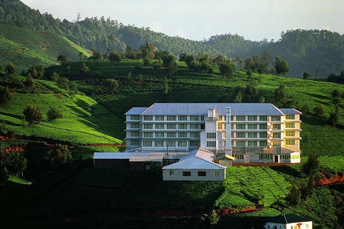 Kandy To Nuwaraeliya Scenic Train Ride and Nuwaraeliya City Tour And Drop Ella - Inclusions of the Tour