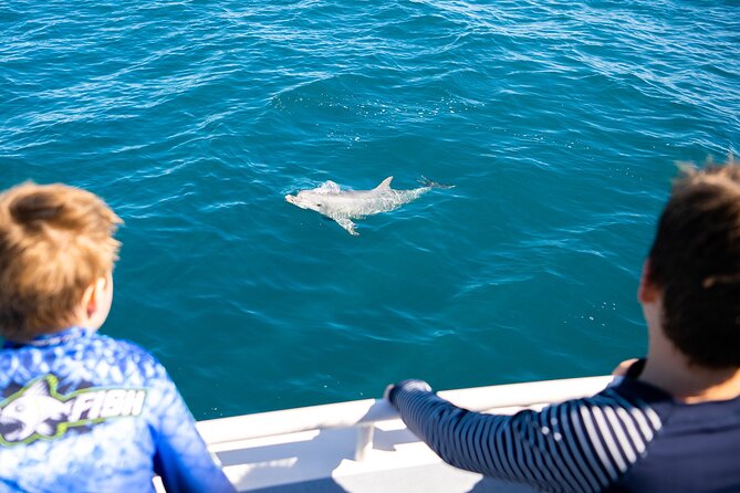 Kangaroo Island - Swim With Dolphins/Seals/Coastal Snorkel - Wildlife Interaction Details