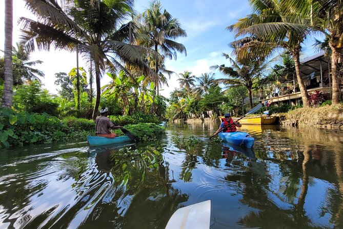 Kerala Backwater Village Kayaking Tour: Alleppey - Tips for a Memorable Experience