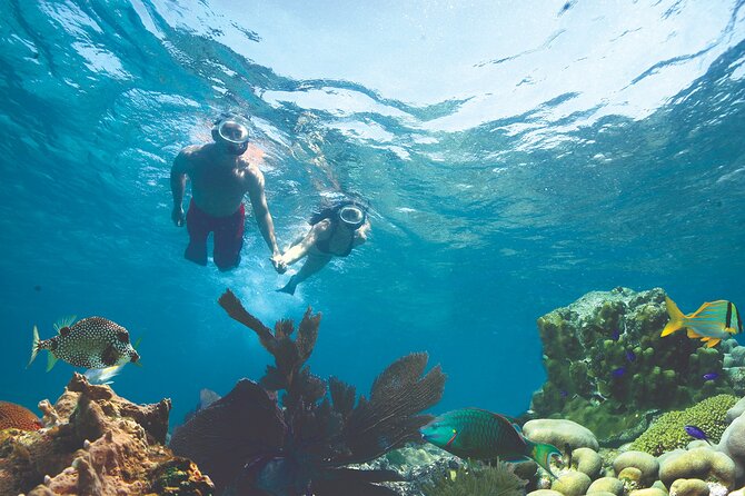 Key West Double-Dip: Two Reef Snorkeling Adventure With Drinks - Health and Safety Guidelines