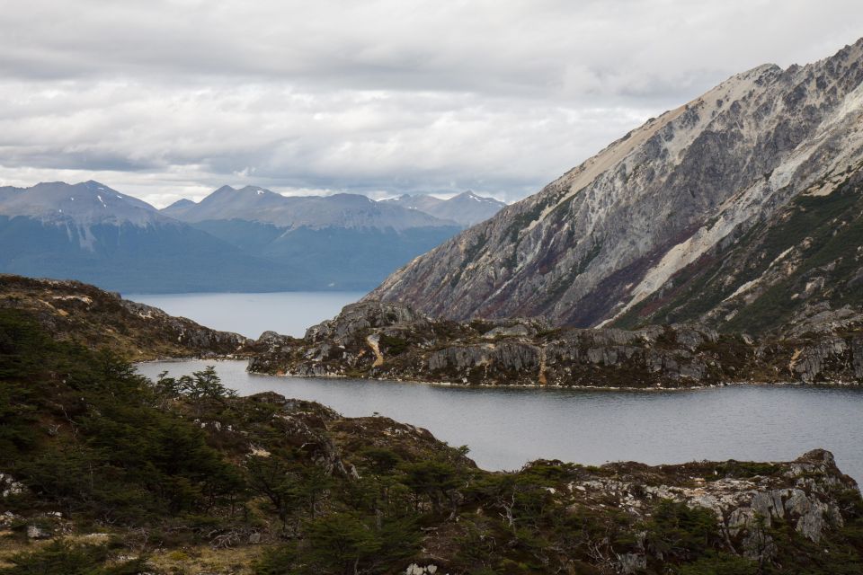 King Penguin & Tierra Del Fuego Tour - Inclusions and Exclusions