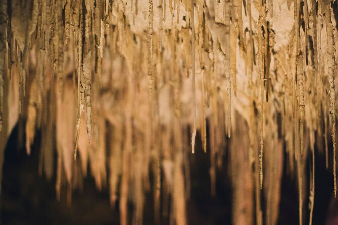Lake Cave Fully Guided Tour - Visitor Experience Highlights