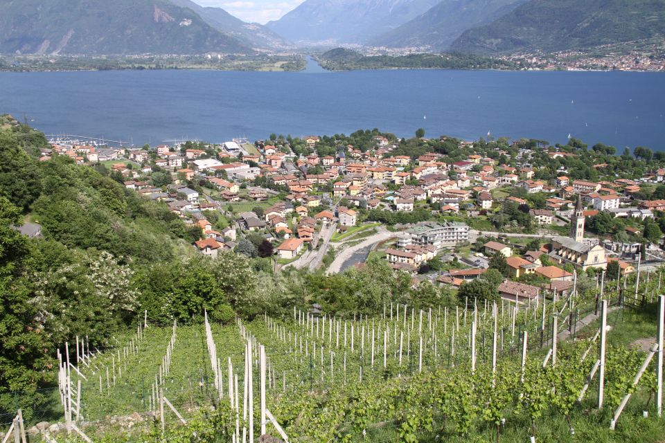 Lake Como: Winery Tour With Wine Tasting - Inclusions