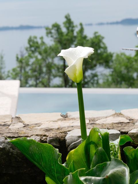 Lake Garda - Mini Day Yoga Retreats - Retreat Activities and Options