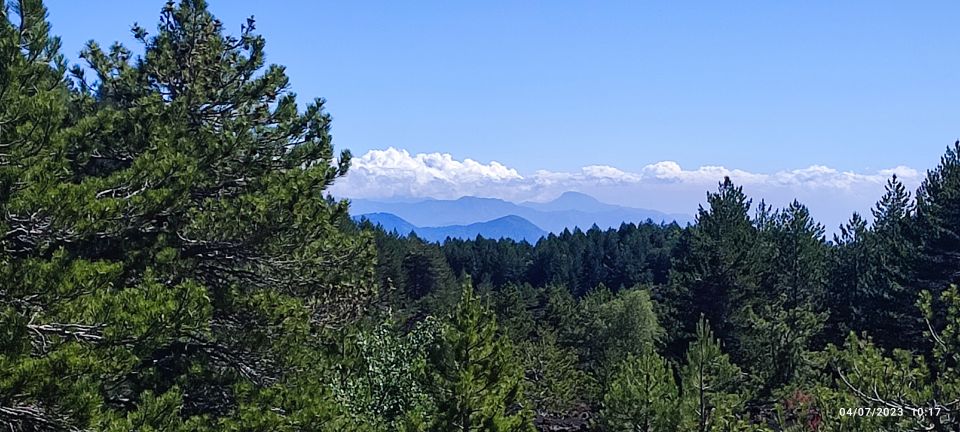 Linguaglossa: North Etna Guided Forest Walking Tour - Itinerary and Highlights