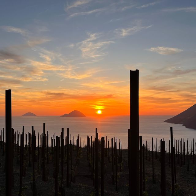 Lipari: Picnic in the Vineyard - Highlights of the Vineyard