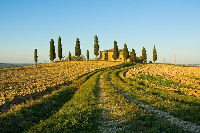 Livorno Shore Excursion: Chianti and Tuscany Countryside Private Wine Tour - Inclusions and Guarantees