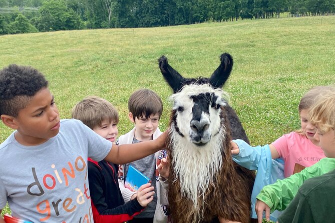 Llama/Alpaca Hike and Farm Tour - Meeting Location and Logistics