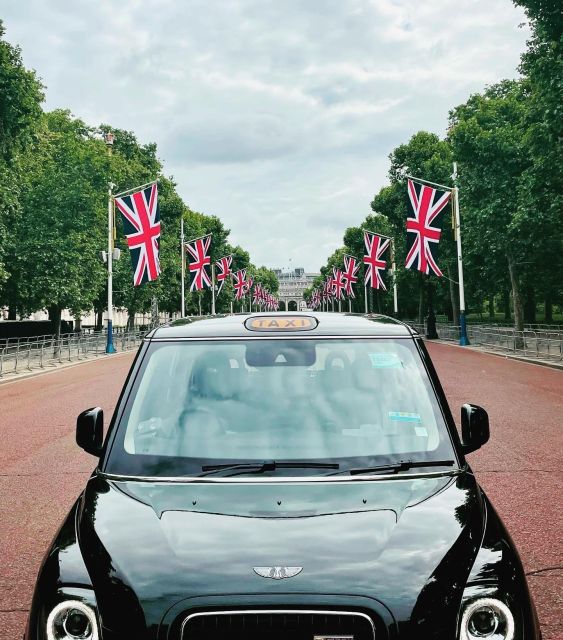 London: Iconic London Taxi Tour - Private 4 Hour Tour - Accessibility Features