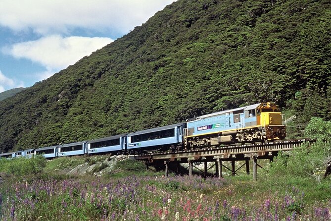 Lyttelton Shore Excursion: TranzAlpine and Arthurs Pass Tour - Accessibility Features