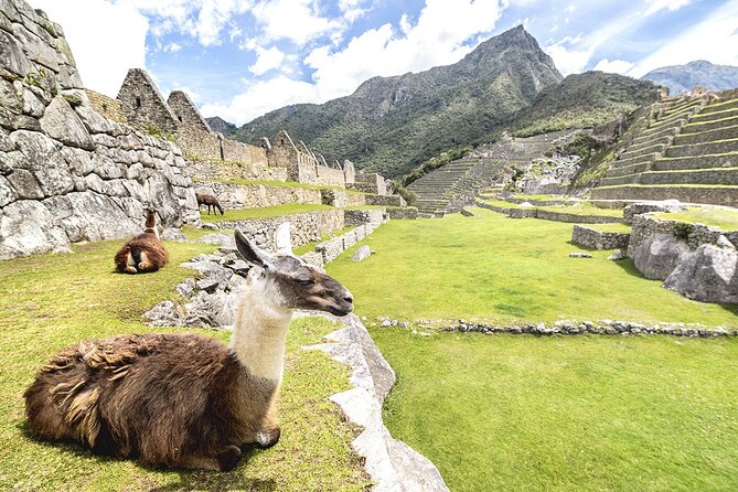 Machu Picchu Full Day Tour - Traveler Reviews and Ratings