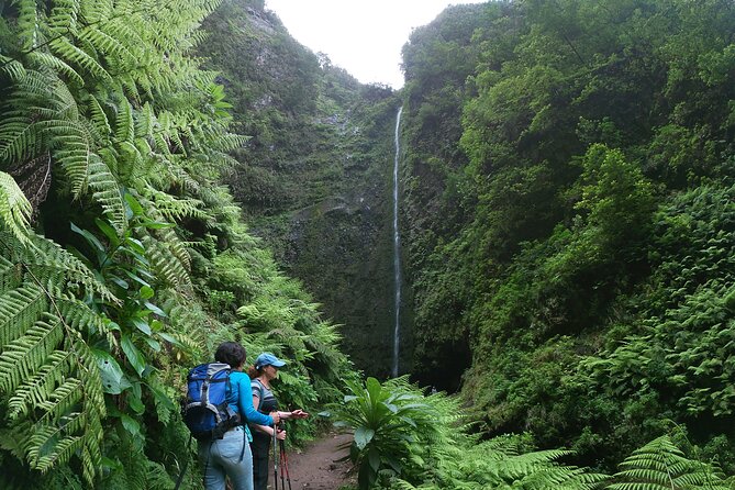 Madeira Levada Walk - Caldeirao Verde - Meeting and Pickup Information