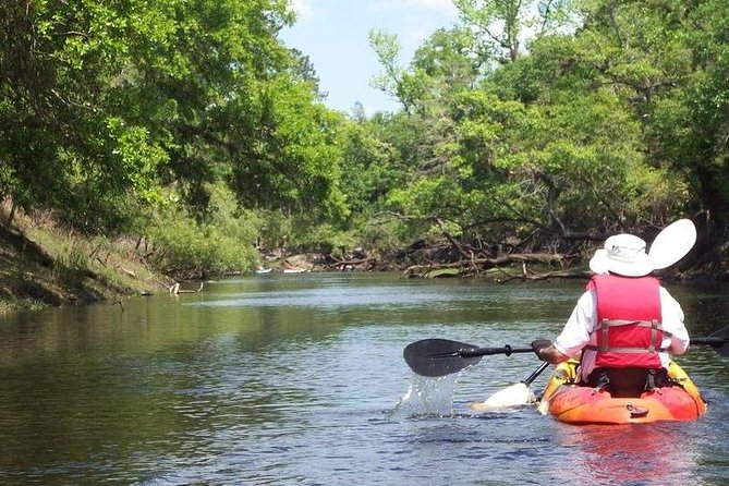 Manatee and Dolphin Kayaking Encounter - Accessibility and Fitness Requirements