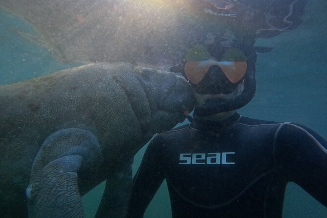 Manatee Snorkeling Crystal River Florida Semi-Private - Accessibility Information
