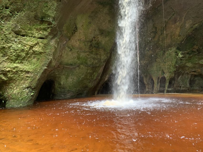 Manaus: Presidente Figueiredo Caves and Waterfalls Tour - Highlights of the Experience