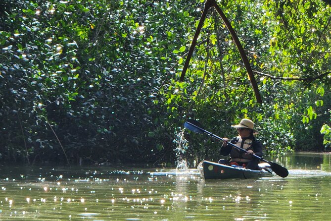 Mangrove Forest Kayak Exploration - Health and Safety Requirements