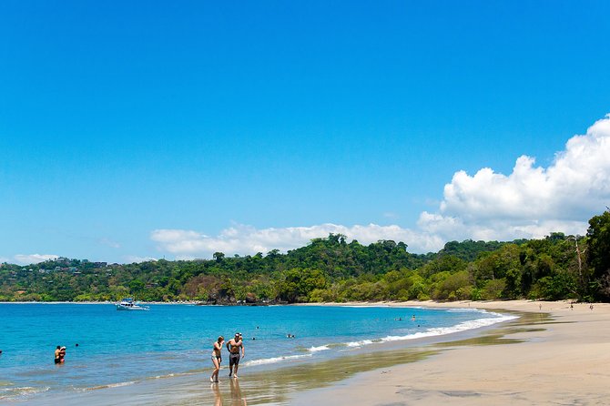 Manuel Antonio National Park Adventure - Wildlife Encounters and Education