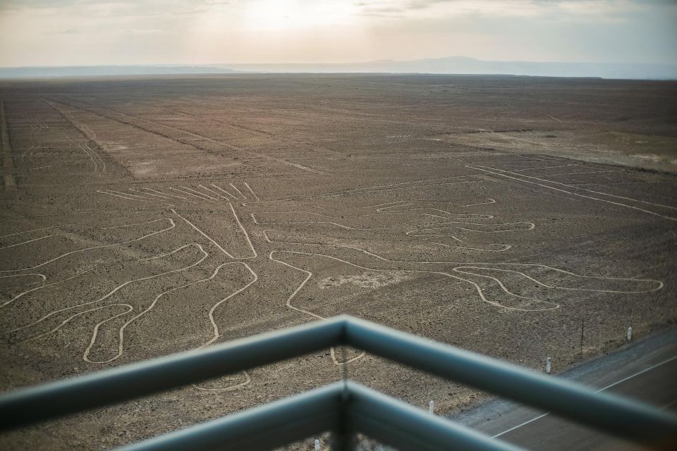 Maria Reiche Museum and Viewpoint of the Nazca Lines - Museum Highlights and Exhibits