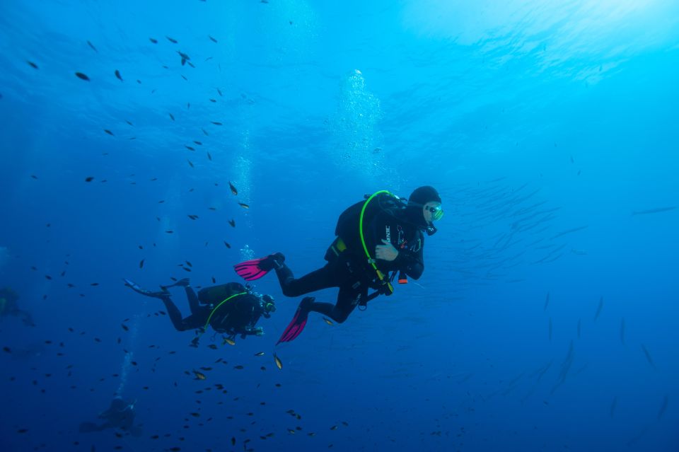 MARINA DI CAMPO: DIVING ON THE ISLAND OF ELBA AND PIANOSA - Equipment Provided