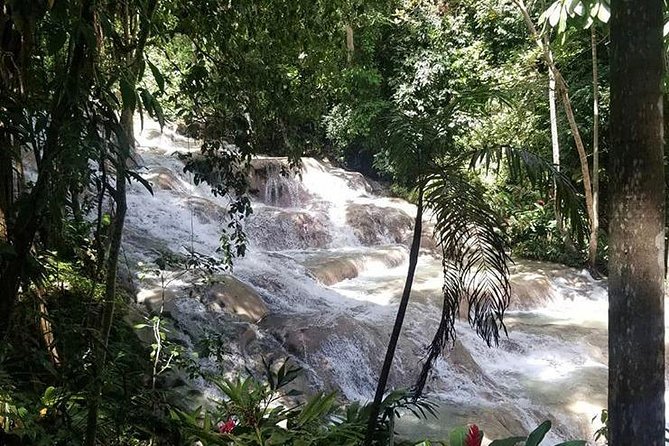 Martha Brae and Dunn's River Falls Day Tour - Transportation Details