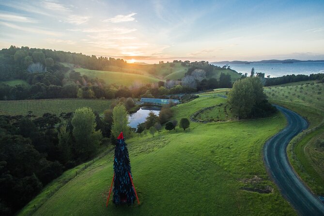 Matakana Art & Vineyard Experience Incl. Lunch & Wine Tasting Tour From Auckland - Wine Tasting Experience