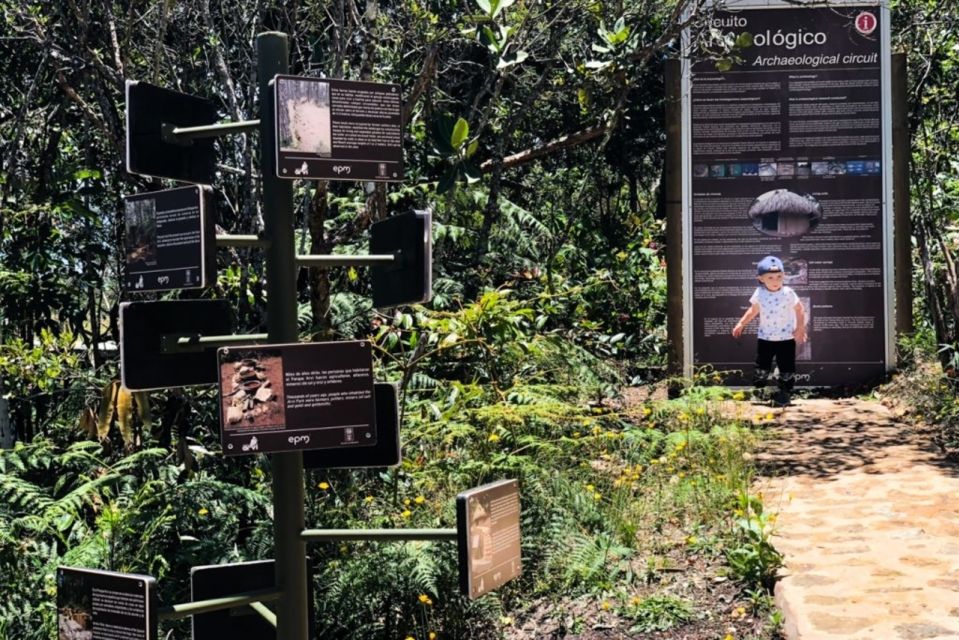 Medellín Waterfall: Hike and Discover Medellín's Nature - Trekking Route Details